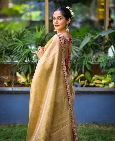 Soft Tissue Sequins And Cording Embroidery Work Saree